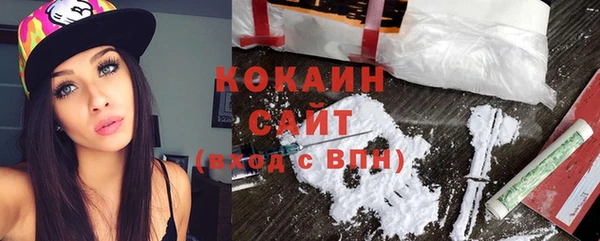 дживик Арсеньев